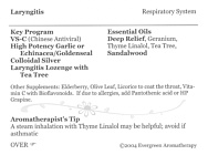 Aromatherapy and Herbology A To Z Guide - Laryngitis