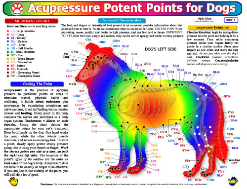 Pet Health Charts for Dogs - Acupressure