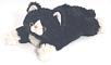 Warm Buddy Kozy Kitten