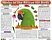 Pet Health Charts for Birds